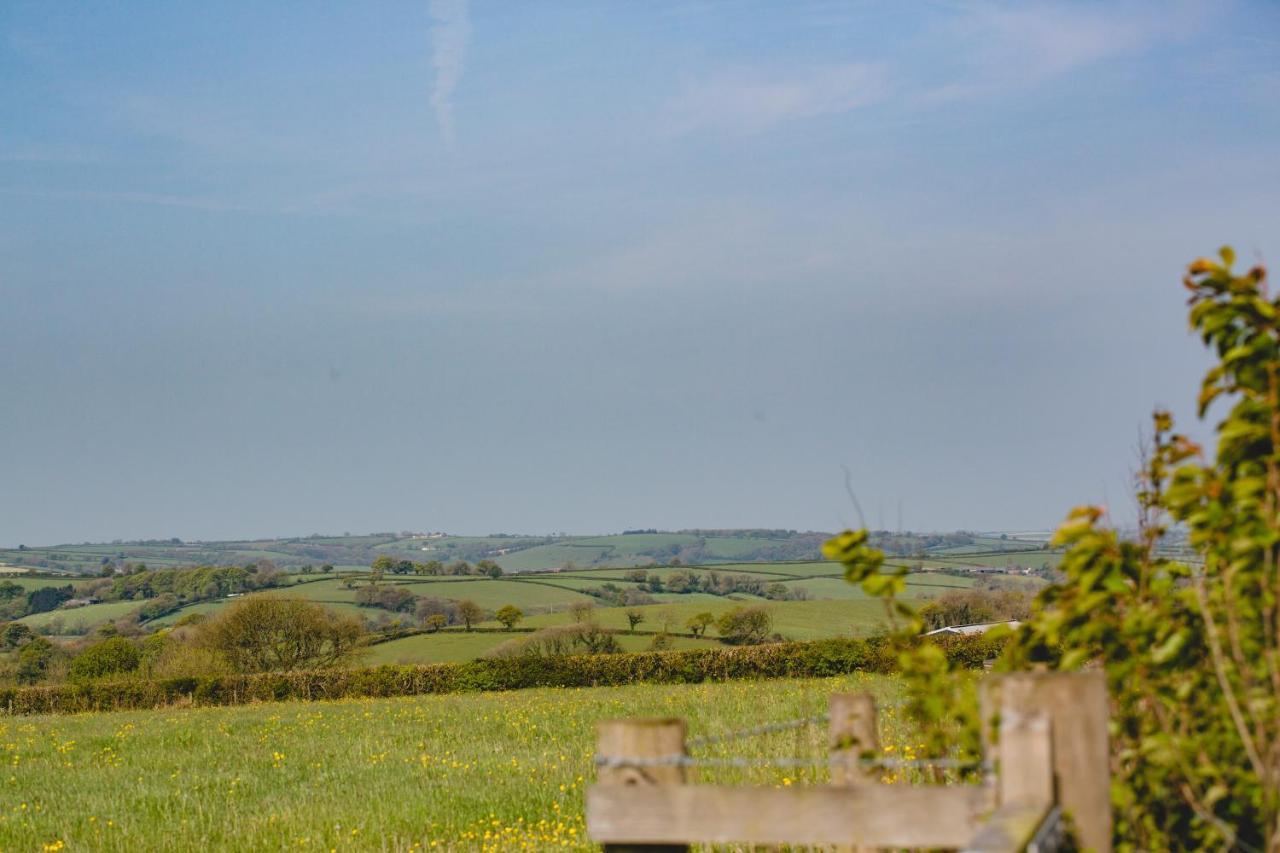 Maes Y Mel- A Couples, Pet Friendly, Rural Romantic Getaway With Countryside Views Gellywen Exterior photo